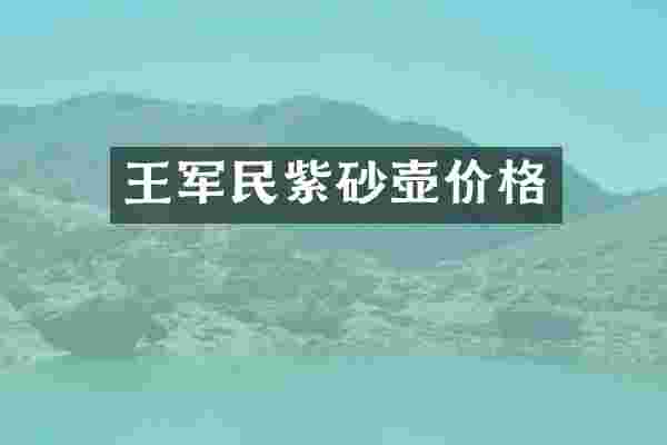 王军民紫砂壶价格