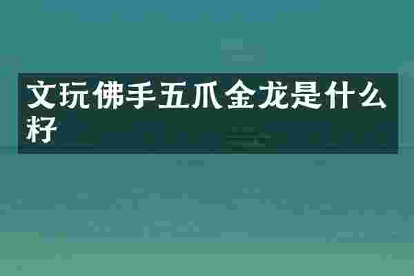 文玩佛手五爪金龙是什么籽
