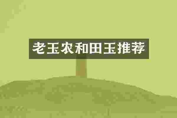 老玉农和田玉推荐