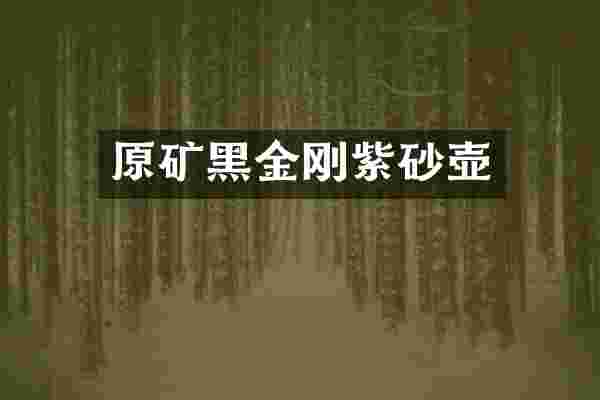 原矿黑金刚紫砂壶