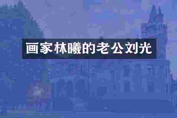 画家林曦的老公刘光