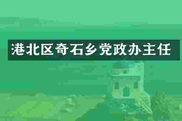 港北区奇石乡党政办主任
