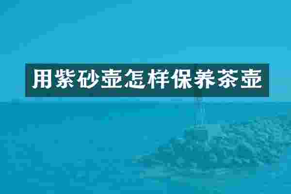 用紫砂壶怎样保养茶壶