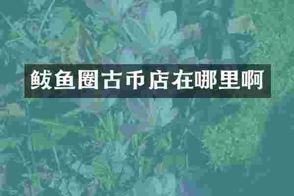 鲅鱼圈古币店在哪里啊