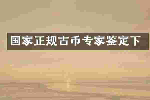 国家正规古币专家鉴定下