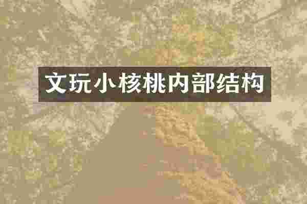 文玩小核桃内部结构