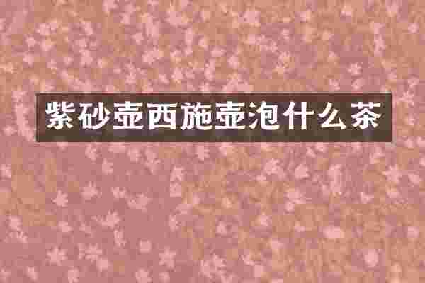紫砂壶西施壶泡什么茶