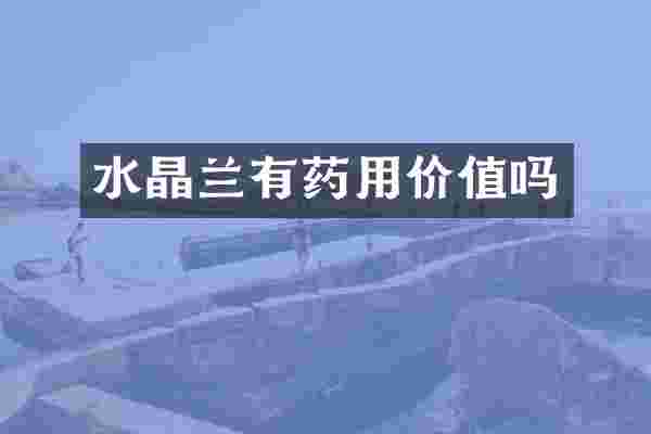 水晶兰有药用价值吗