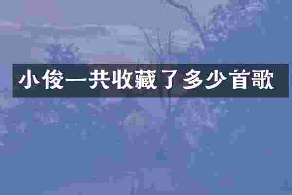 小俊一共收藏了多少首歌