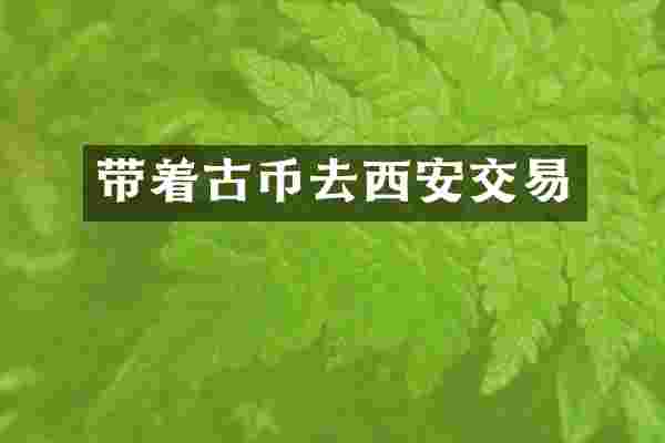 带着古币去西安交易