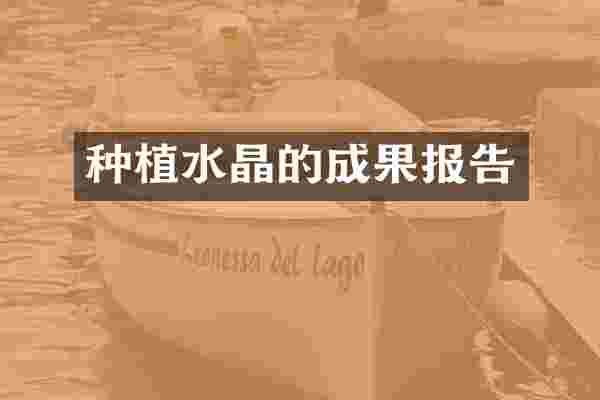 种植水晶的成果报告