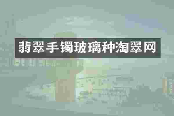 翡翠手镯玻璃种淘翠网