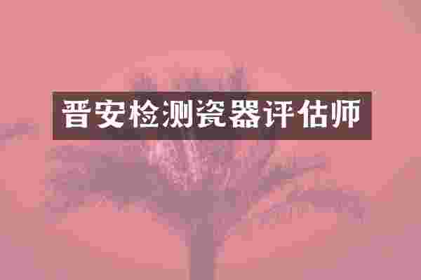 晋安检测瓷器评估师