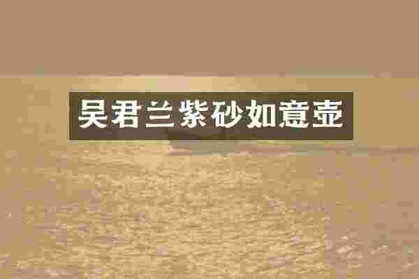 吴君兰紫砂如意壶