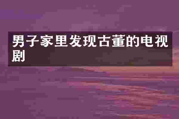 男子家里发现古董的电视剧