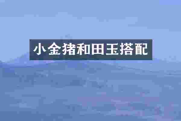 小金猪和田玉搭配