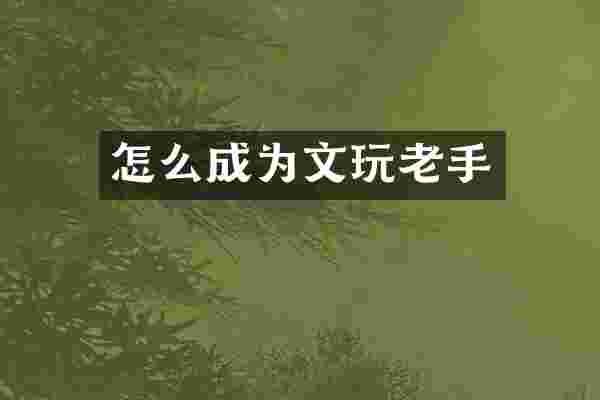 怎么成为文玩老手
