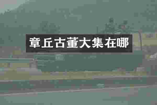 章丘古董大集在哪