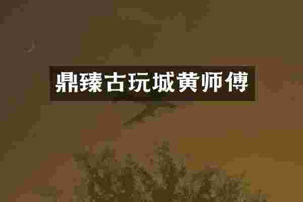 鼎臻古玩城黄师傅