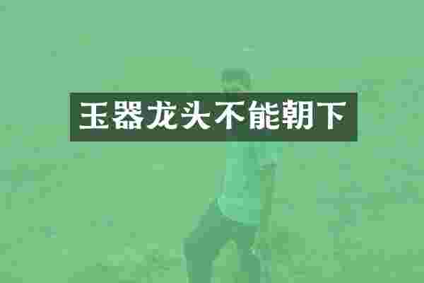 玉器龙头不能朝下