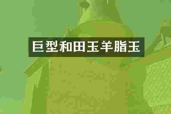 巨型和田玉羊脂玉