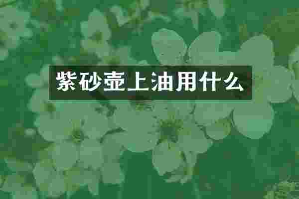 紫砂壶上油用什么