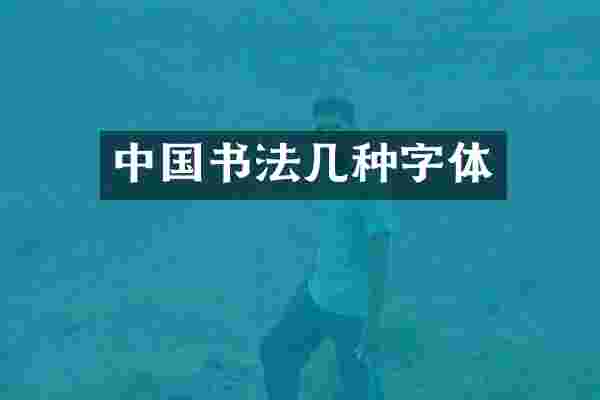 中国书法几种字体