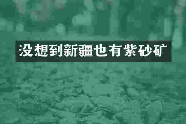 没想到新疆也有紫砂矿