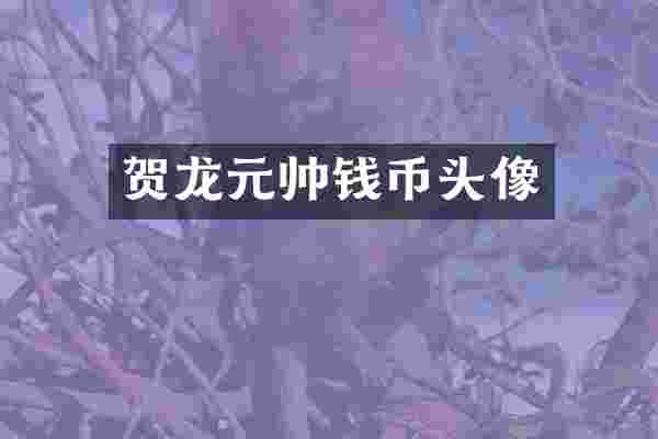 贺龙元帅钱币头像
