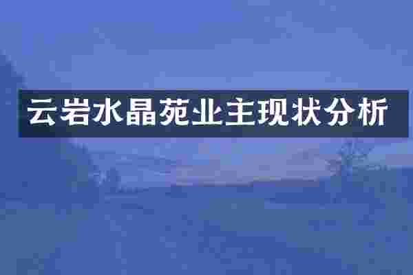 云岩水晶苑业主现状分析