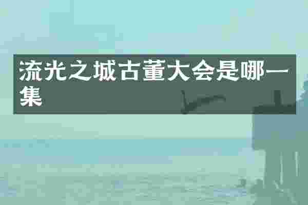 流光之城古董大会是哪一集