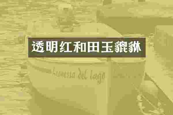 透明红和田玉貔貅