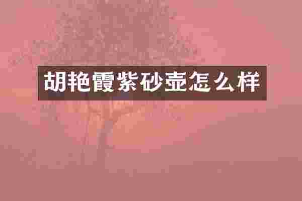 胡艳霞紫砂壶怎么样