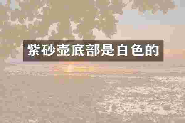 紫砂壶底部是白色的