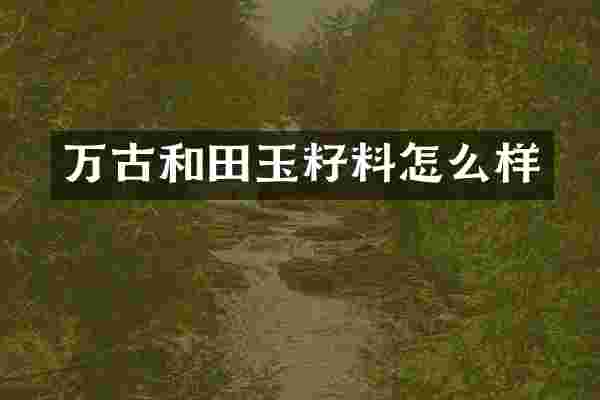 万古和田玉籽料怎么样