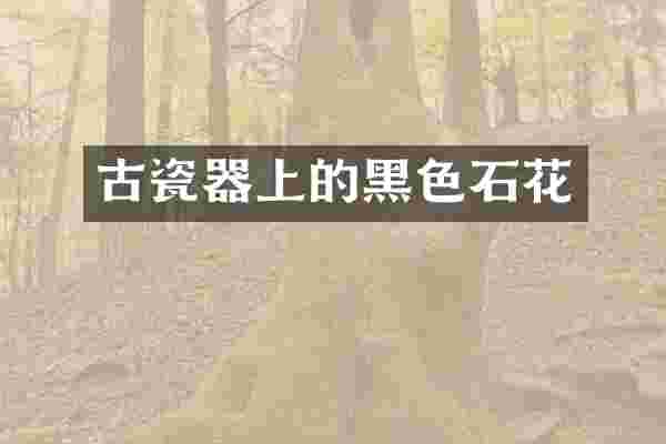 古瓷器上的黑色石花
