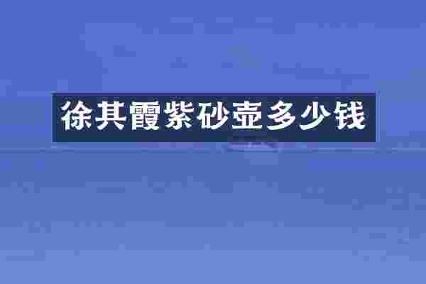徐其霞紫砂壶多少钱