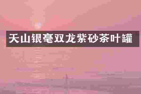 天山银毫双龙紫砂茶叶罐