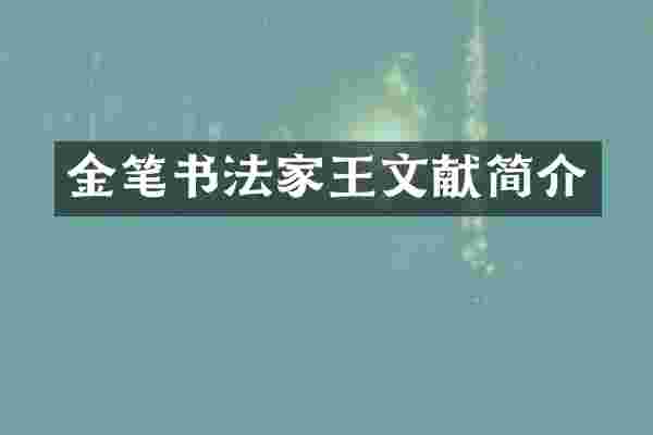 金笔书法家王文献简介