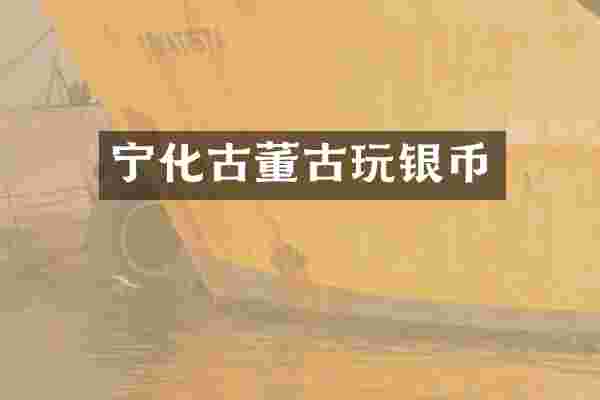 宁化古董古玩银币