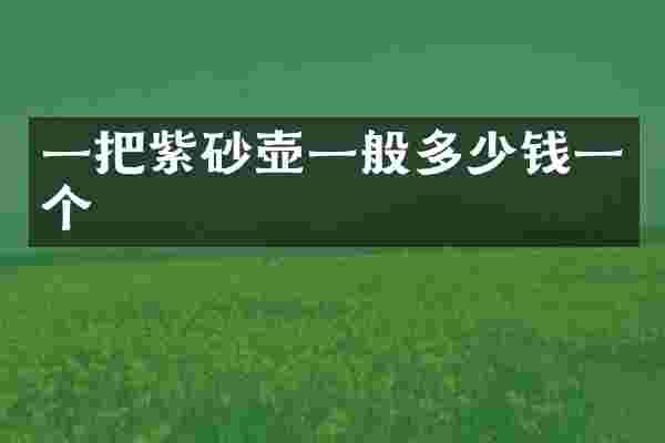一把紫砂壶一般多少钱一个
