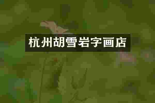 杭州胡雪岩字画店