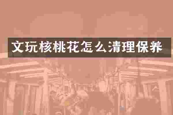 文玩核桃花怎么清理保养