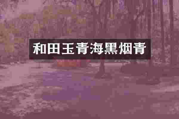和田玉青海黑烟青
