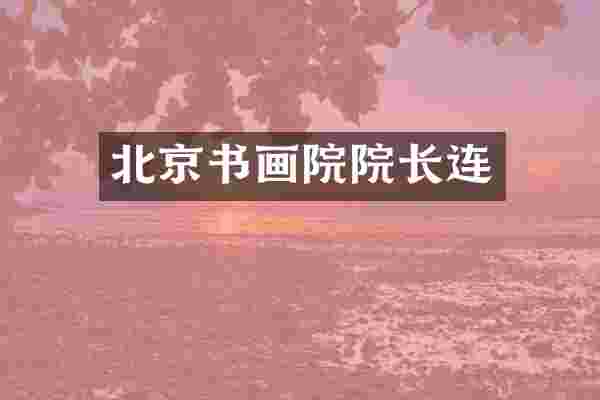 北京书画院院长连