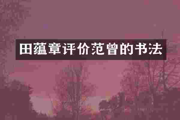 田蕴章评价范曾的书法