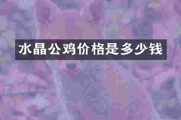 水晶公鸡价格是多少钱