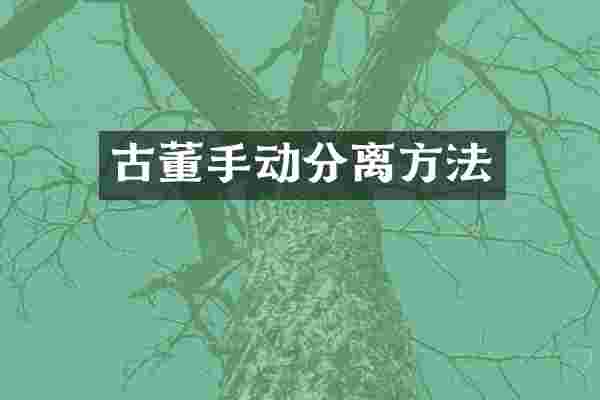 古董手动分离方法
