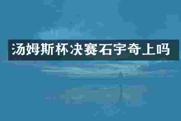 汤姆斯杯决赛石宇奇上吗
