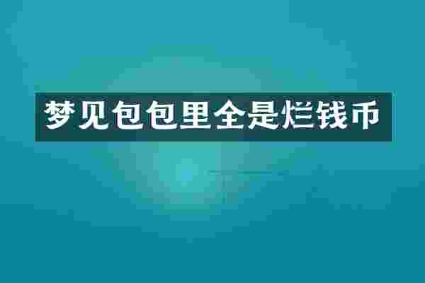 梦见包包里全是烂钱币
